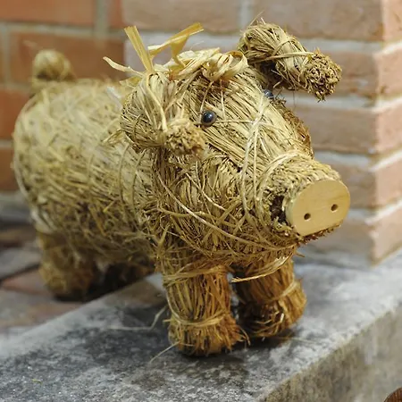 La Pace Segni